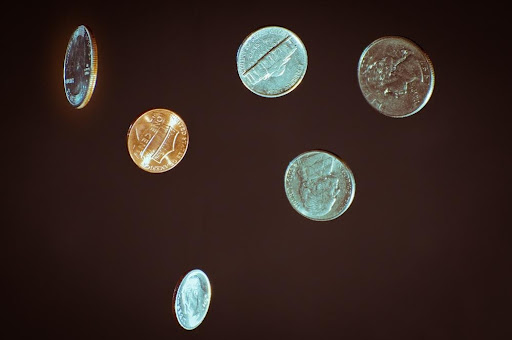 Australian Koala Platinum Coins